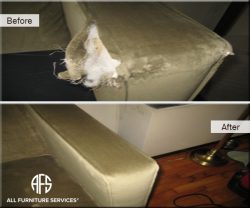 Animal dog damage upholstery furniture