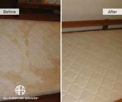 Matress Stain Cleaning