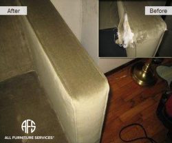 Upholstery Repair Tear Animal Damage restoration