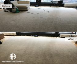 Carpet Rug cleaning repair restoration stain mark removal in-home