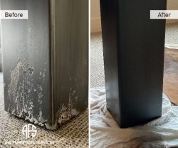 Animal damage urine pet scratch chemical reaction burn discoloration leg metal wood repair furniture finish